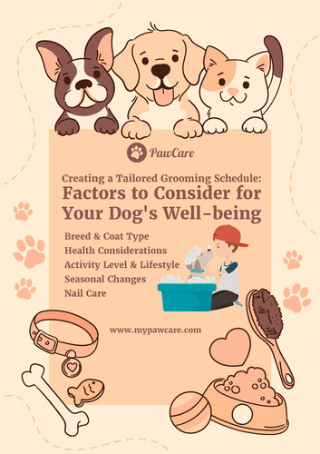 Creating a Tailored Grooming Schedule Factors to Consider for Your Dog's Well being.jpg