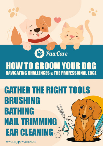 How To Groom Your Dog Navigating Challenges and the Professional Edge.jpg
