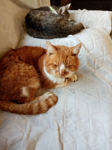 IMG 20231123 124043.jpg