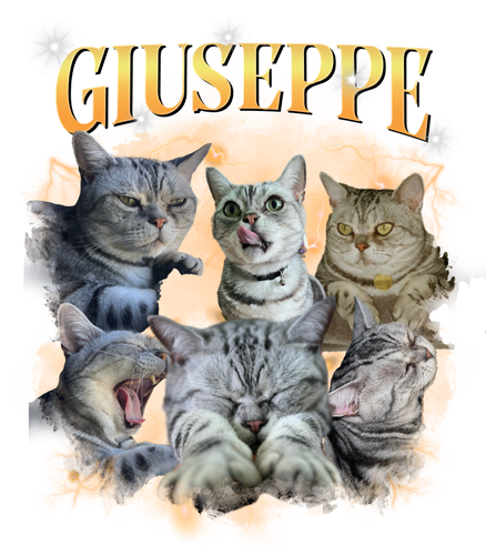 giuseppy.png