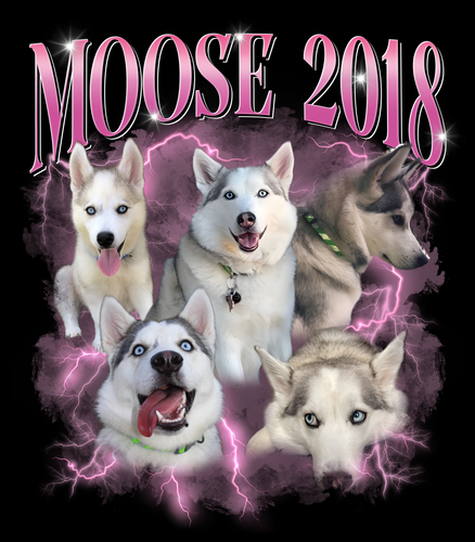 Moose 2018.png