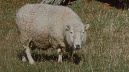 screenshot 00003.png