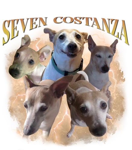 Seven Costanza.png