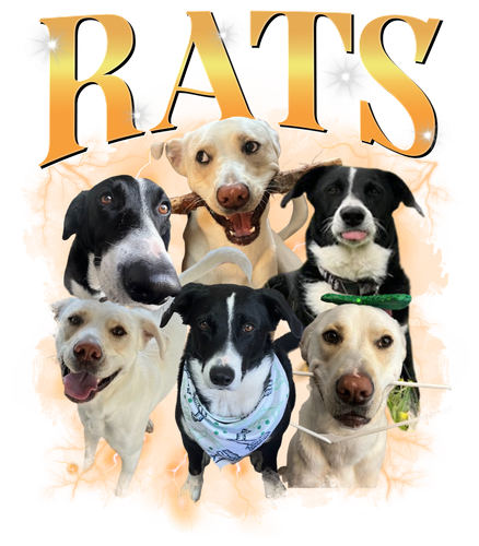 Rats.png