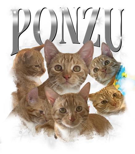 3121618047 Ponzu.png