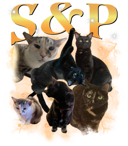 S&P.png