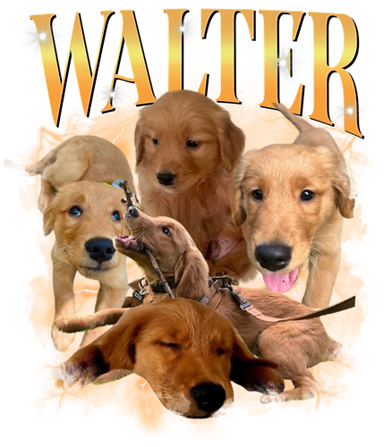 Walter.png