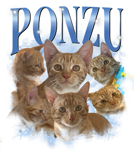 3121618047 Ponzu Blue.png