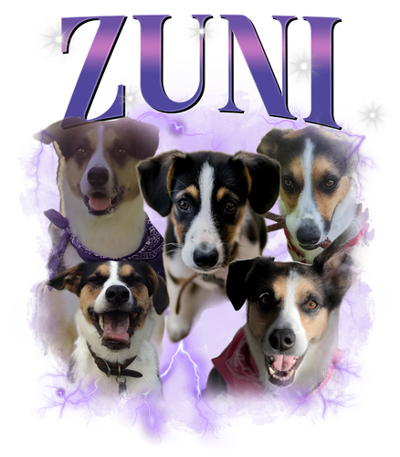 ZUNI.png