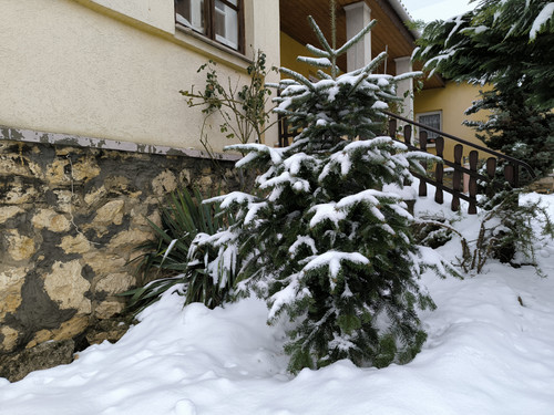 IMG 20231210 132644.jpg