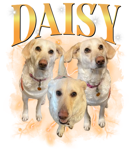 Daisy.png