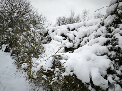 IMG 20231210 124830.jpg