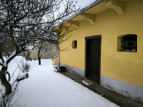 IMG 20231210 132610.jpg