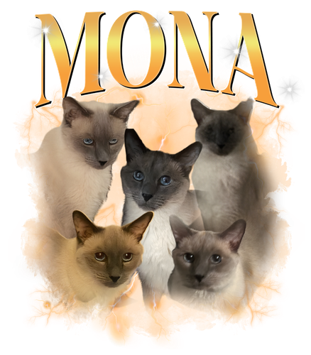 Mona.png