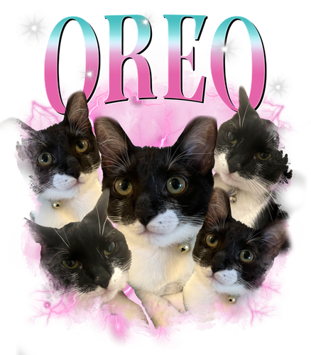 3129998834 Oreo 10.png
