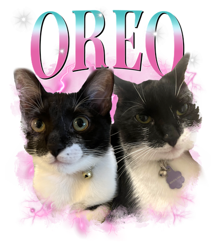 3129998834 Oreo 10 2.png