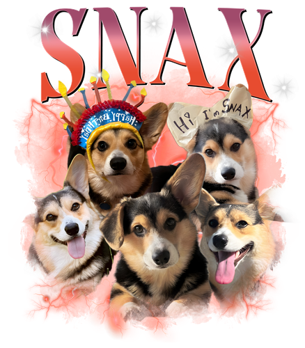 SNAX.png
