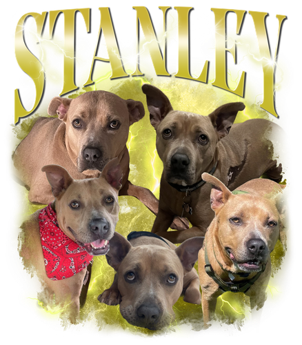 Stanley 3127482465.png