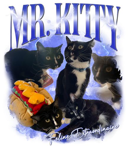 Mr. Kitty 3131513894.png