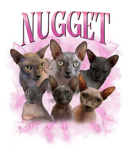 Nugget.png