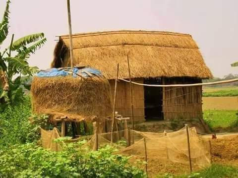 FB IMG 1689789249960.jpg