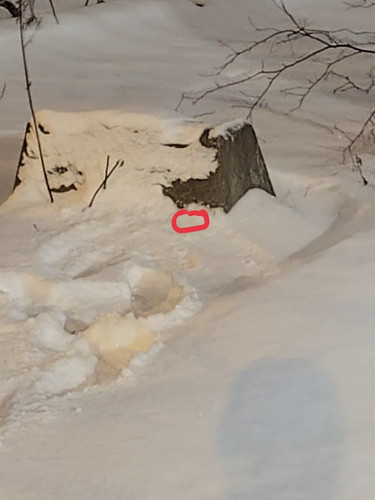 photo 2023 12 05 07 25 36.jpg