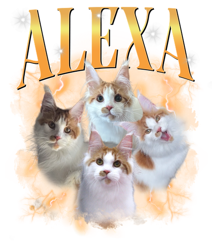 3132394256.png