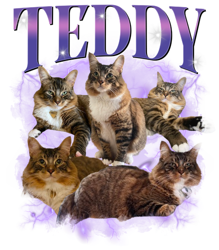 TEDDY.png