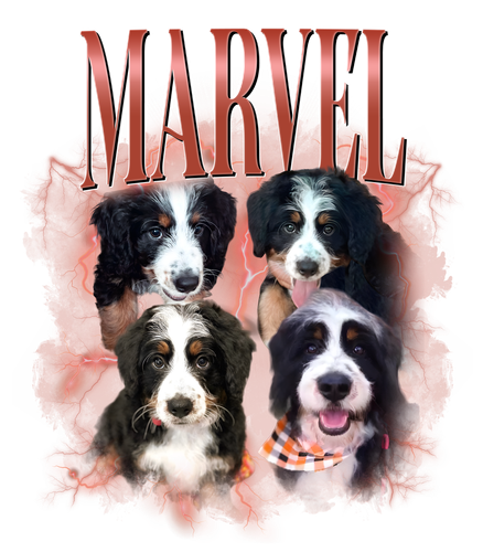 marvel.png