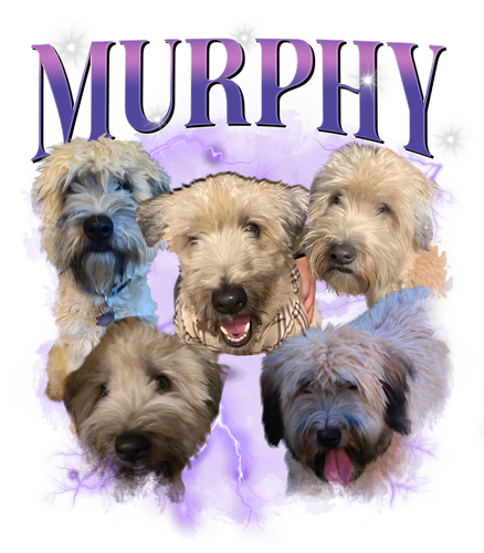Murphy.png