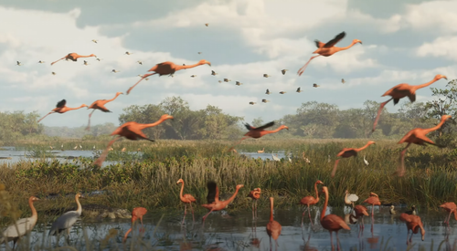 Capture d'écran 2023 12 10 150214.png