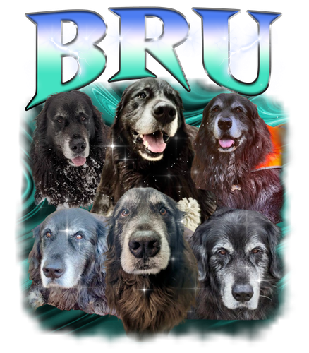 Bru.png