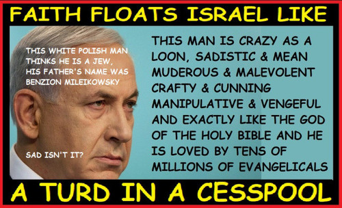 faith floats israel like a turd in a cesspool.jpg