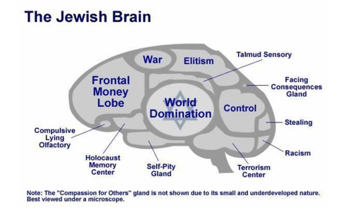 jewish brain.png