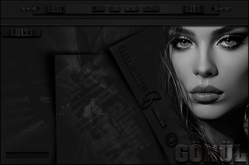 GÖNÜL HERKES BİRGÜN GİDER.jpg