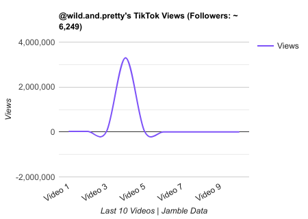 wild.and.pretty TikTok Views Chart.png
