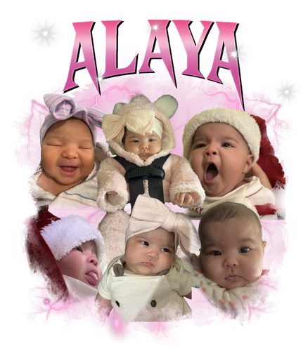 alaya.png