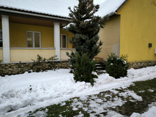 IMG 20230912 161854.jpg