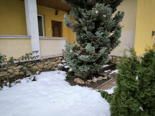 IMG 20230912 161917.jpg