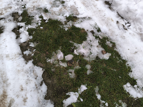 IMG 20230912 162039.jpg