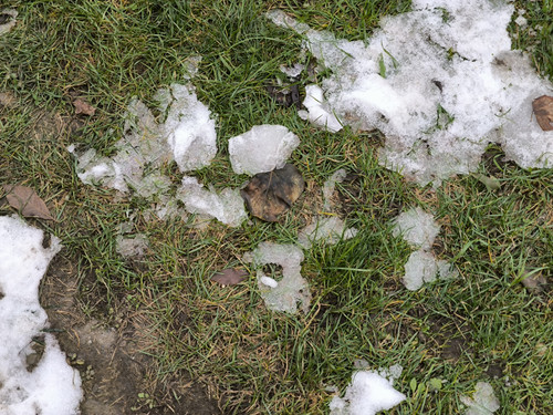 IMG 20230912 162044.jpg