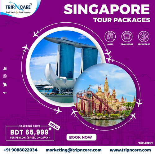 Explore the unforgettable Beauty of Singapore with Tripncare Tour Packages.jpg