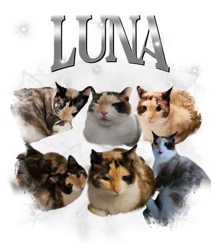 luna 8.png