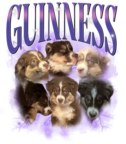 3119626323.png