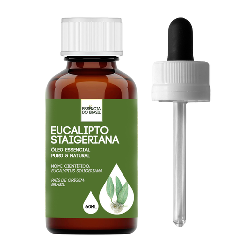 Eucalipto Staigeriana (Lima limão) 60ml.png