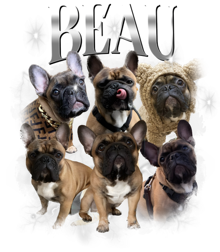 Beau 1.png