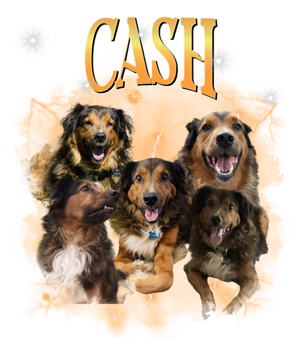 cash.png