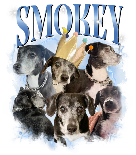 3121684983 Smokey 4.png