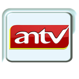 antv