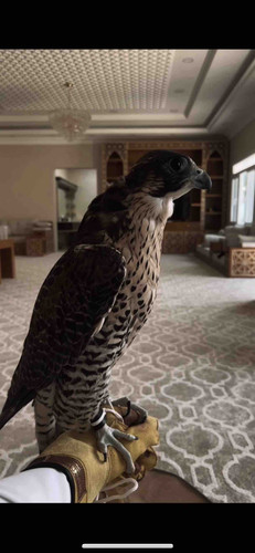 673DE9B7 A55A 4DD6 B506 3D880FA9EE01.jpg